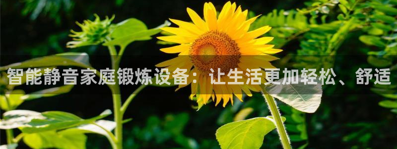 k1体育官网下载平台假的吗是真的吗：智能静音家庭锻炼设备：让