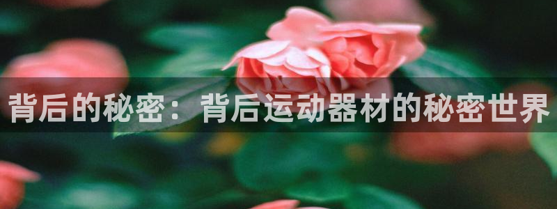k1体育官方正版app集团：背后的秘密：背后运动器材的秘密世