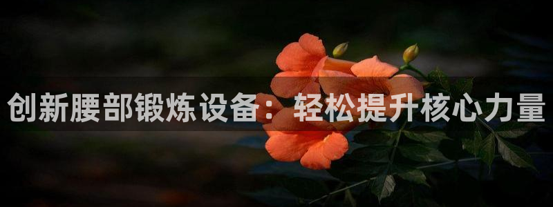 k1体育官方正版app娱乐首页网站大全：创新腰部锻炼设备：轻