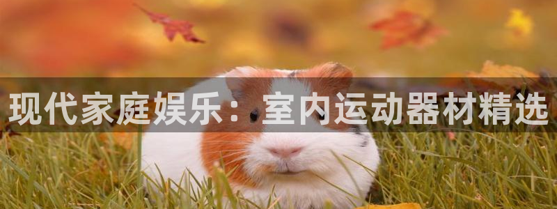 k1体育官网下载开户：现代家庭娱乐：室内运动器材精选