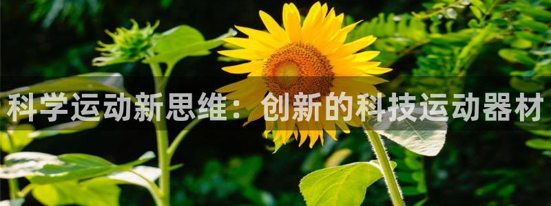 k1体育官网下载招商电话地址是多少：科学运动新思维：创新的科