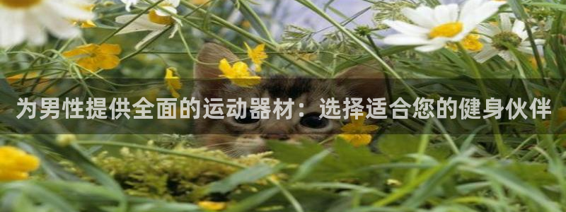 k1体育官网下载招商电话号码查询：为男性提供全面的运动器材：