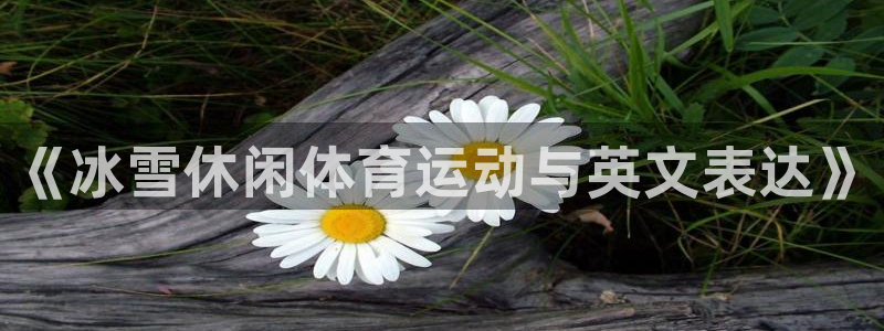 bsport必一运动：《冰雪休闲体育运动与英文表达》
