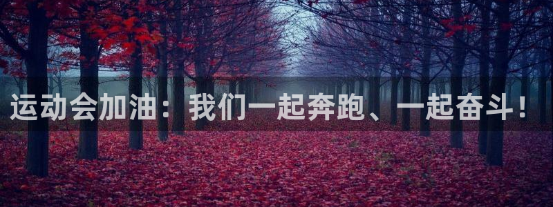 必一运动：运动会加油：我们一起奔跑、一起奋斗！