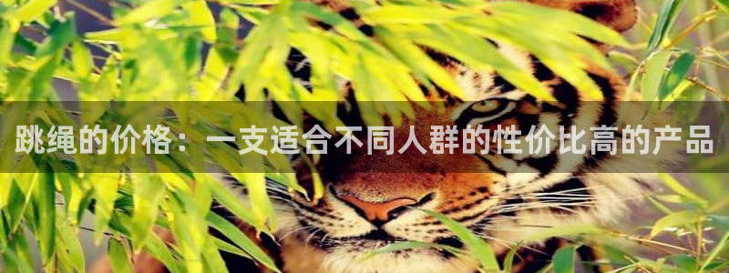 必一运动体育：跳绳的价格：一支适合不同人群的性价比高的产品