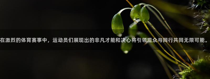必一运动官网：在激烈的体育赛事中，运动员们展现出的非凡才能和决心将引领观众与同行共同无限可能。