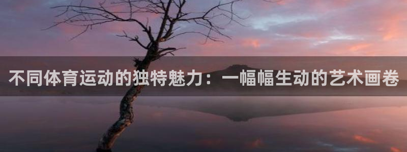必一运动app：不同体育运动的独特魅力：一幅幅生动的艺术画卷