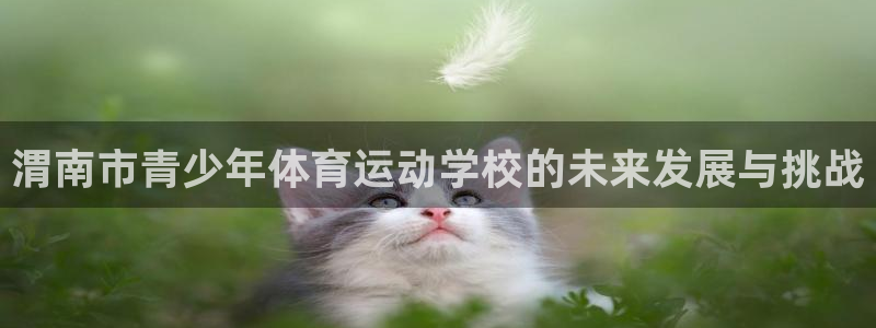 必一运动官网入口：渭南市青少年体育运动学校的未来发展与挑战