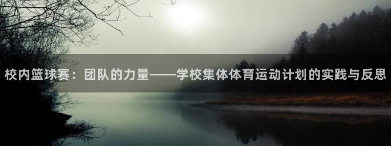 b体育必一运动官网：校内篮球赛：团队的力量——学校集体体育运动计划的实践与反思